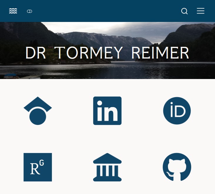 Screenshot of the website you're on right now... so meta!